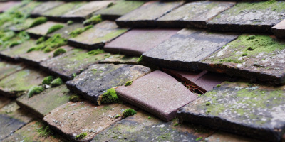 Bodffordd roof repair costs
